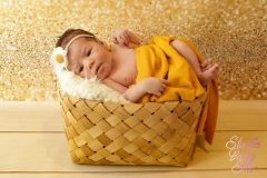 Studio-Baby-star-meilleur-photographe-naissance-top-grossesse-lyon-meyzieu-decines-bron-bourgoin-18