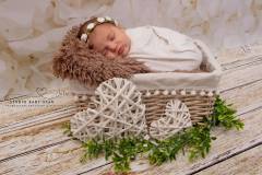 Studio-photographe-naissance-isere-ain-rhone-grossesse-bebe-julie-14