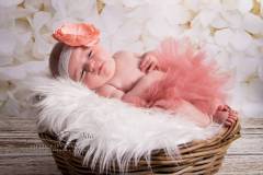 Studio-photographe-naissance-isere-ain-rhone-grossesse-bebe-julie-31